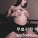 https://dogjoa87.net/data/file/aveu/thumb-1385793329_5io78DuT_57a51aa44197876935c6a96bf12e287b9b3ad753_80x80.gif