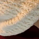 https://dogjoa87.net/data/file/best/thumb-15793707056897_80x80.png