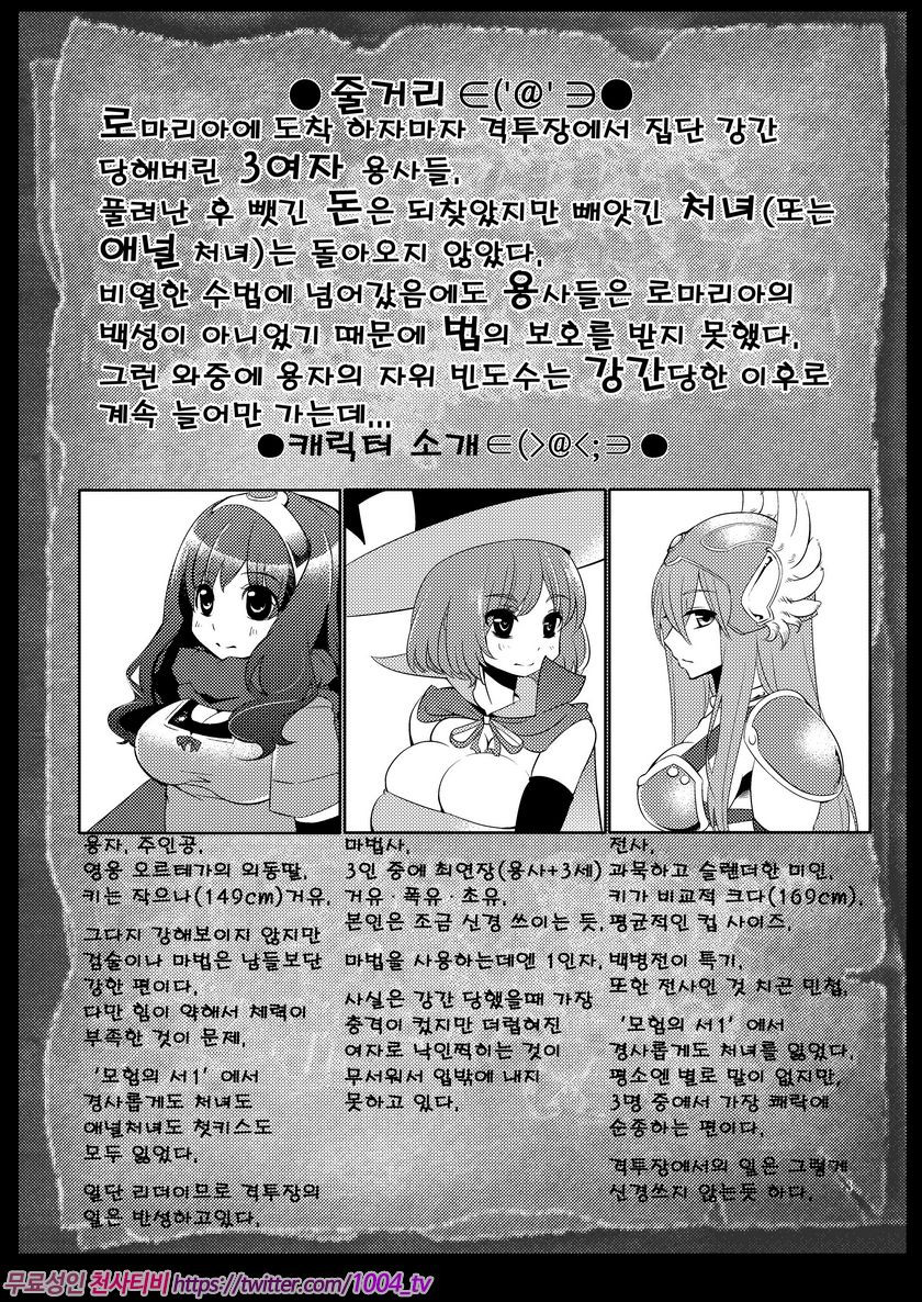 변기소녀들의 드래곤퀘스트 모험의 서2 로마리아 왕궁_by 망가 이미지 #2
