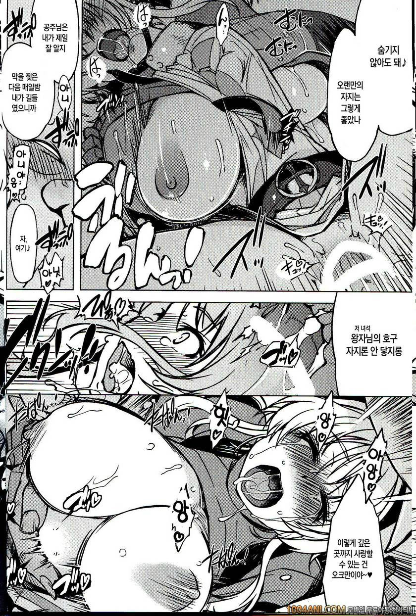 (C86) [Xration (mil)] 공주기사 테이밍3 姫騎士テイム 3 (ラグナロクオンライン)_by 망가 이미지 #15