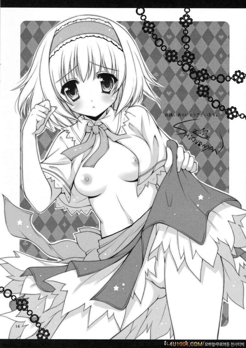 (C83) [Anmitsuyomogitei (Michiking)] Ushiro de Alice! (Touhou Project)…_by 망가 이미지 #16