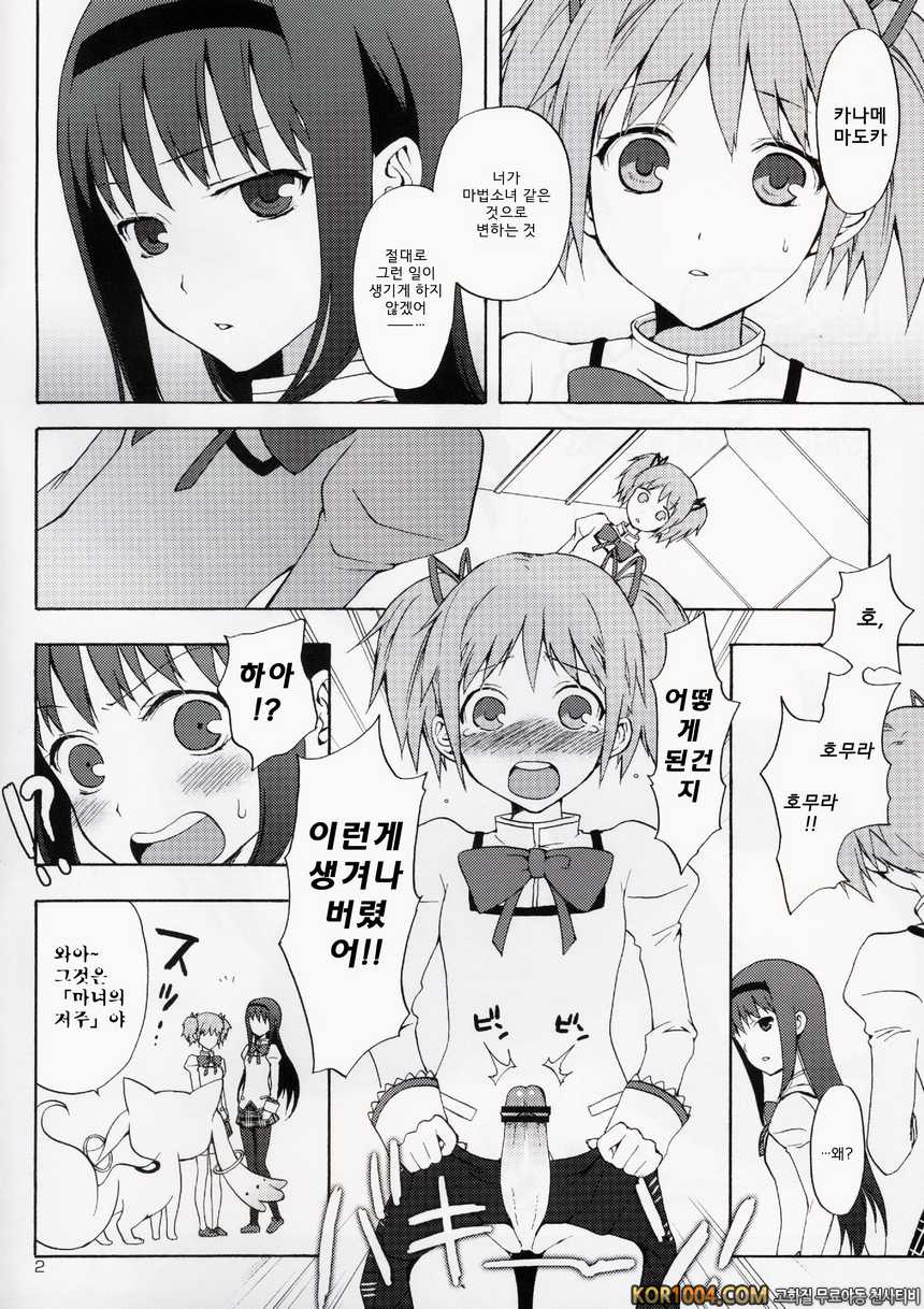 [ああ愛してる] 마도카★호무라 with 황혼의 큐베 (마법소녀 마도카☆마기카 동인지)_by 망가 이미지 #2