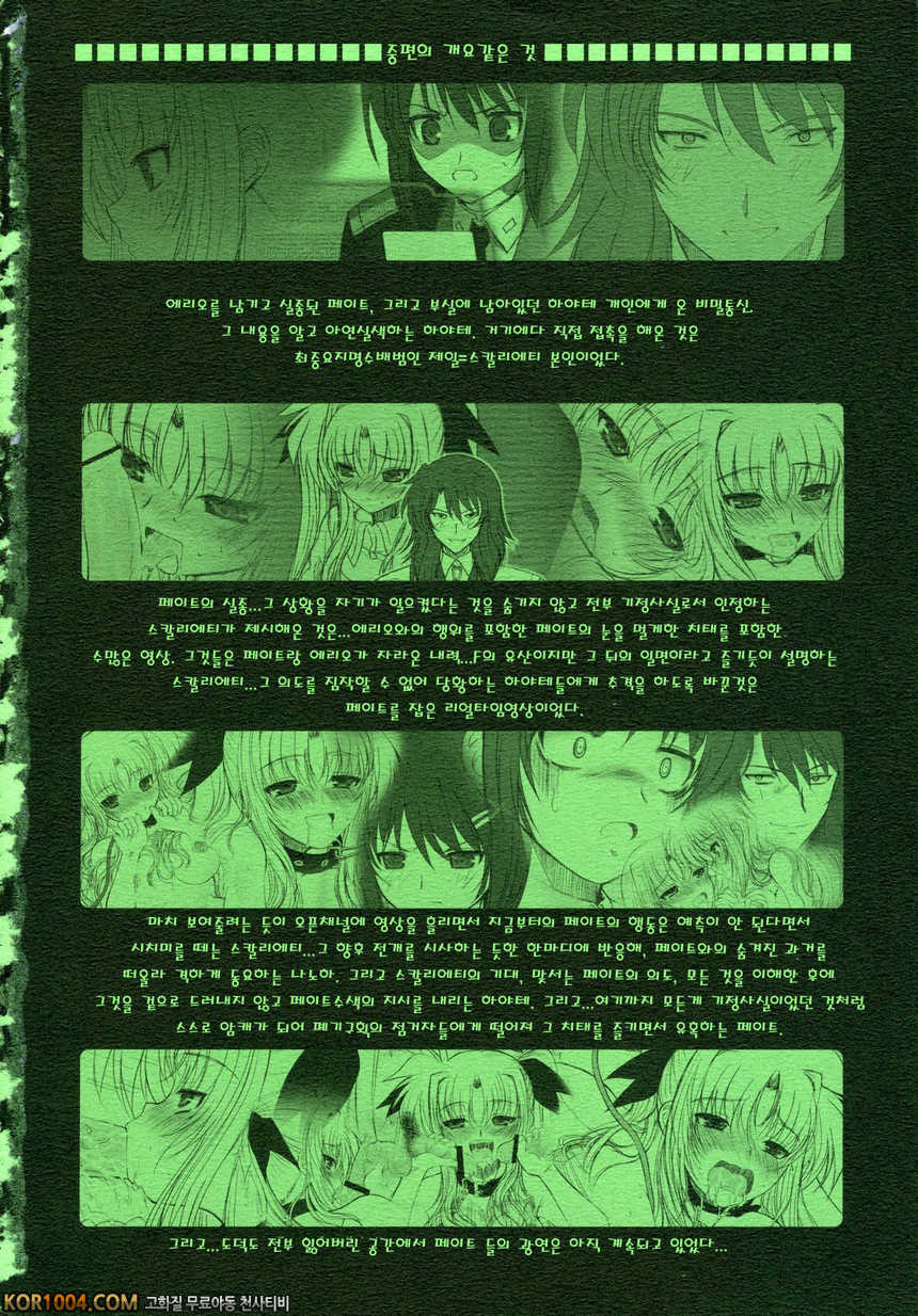 [ディエップ工房] FATE FIRE WITH FIRE 3 (마법소녀 리리컬 나노하) (C76) [번역]_by 망가 이미지 #5