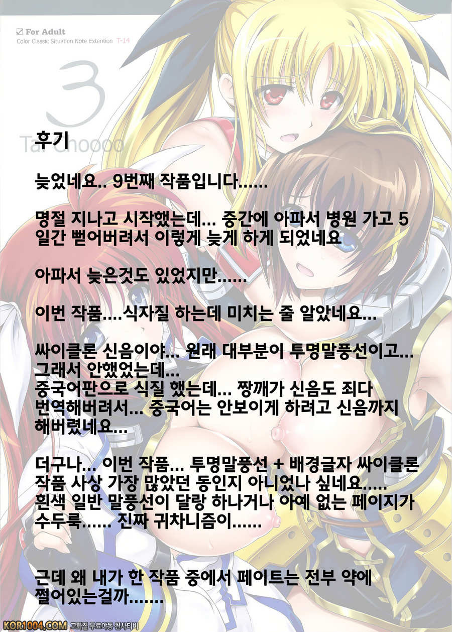 (C84) [Cyclone (Reizei, Izumi)] T-14 3 Tai Choooo (Mahou Shoujo Lyrica…_by 망가 이미지 #46