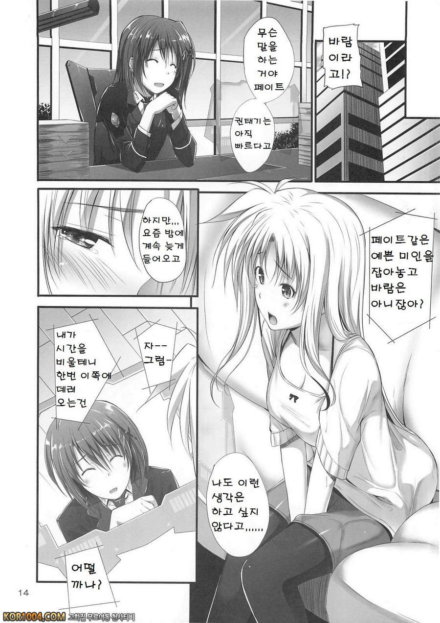 (C82) [IV VA SHIN (Mikuni Mizuki)] Home Sweet Home ～ Fate hen 3_by 망가 이미지 #12