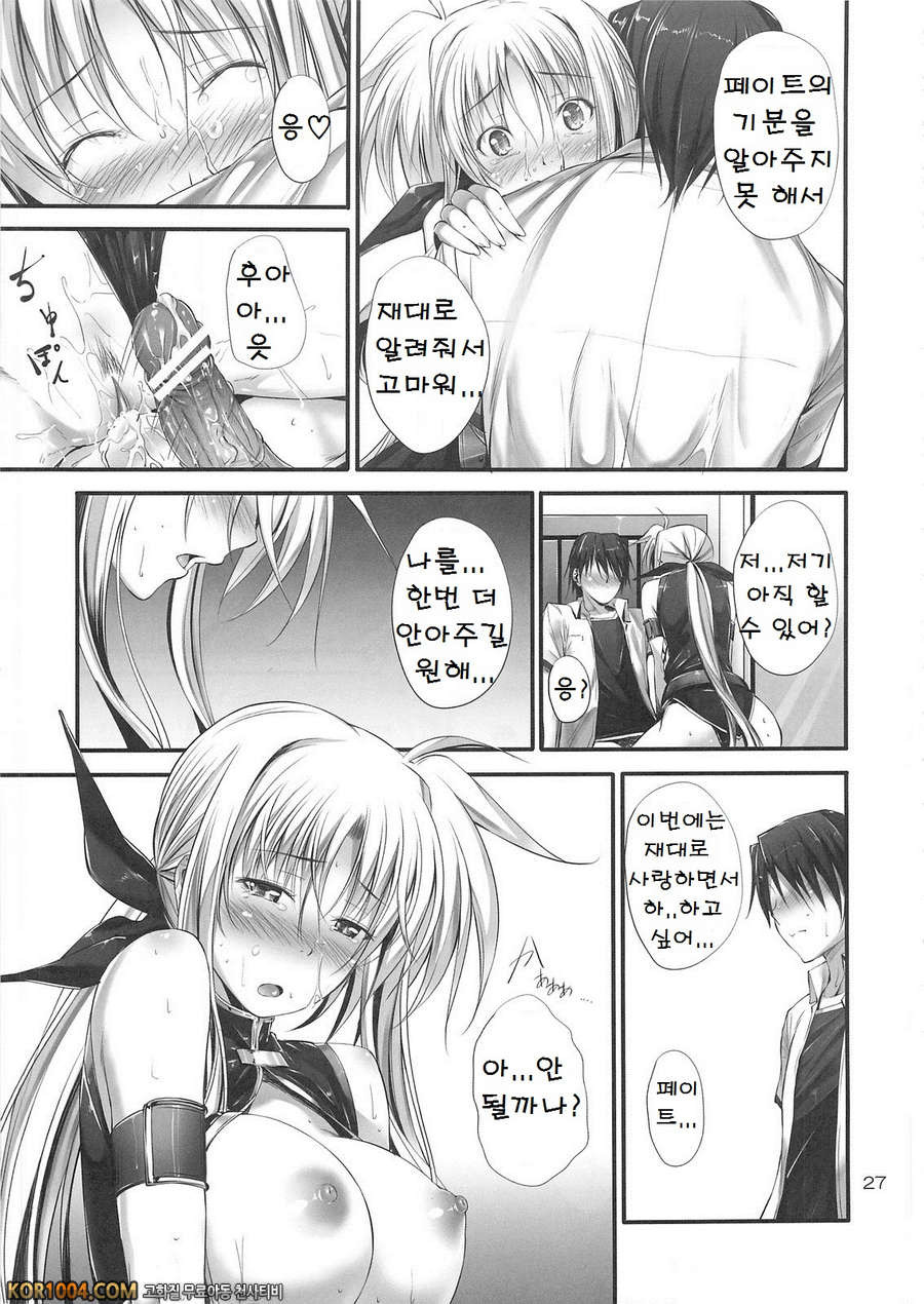 (C82) [IV VA SHIN (Mikuni Mizuki)] Home Sweet Home ～ Fate hen 3_by 망가 이미지 #25