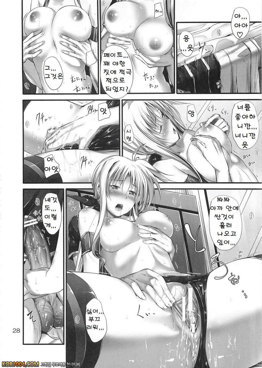 (C82) [IV VA SHIN (Mikuni Mizuki)] Home Sweet Home ～ Fate hen 3_by 망가 이미지 #26