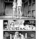 https://dogjoa87.net/data/file/manga/thumb-16667544033847_80x80.jpg