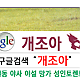 https://dogjoa87.net/data/file/study/thumb-15916620204625_80x80.png